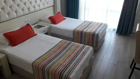 Tropical - 3