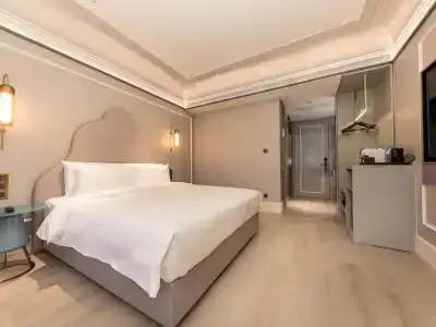Mercure Xi'an Dayan Pagoda - 82