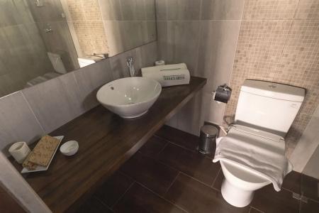 Terrace Green & Spa - 85