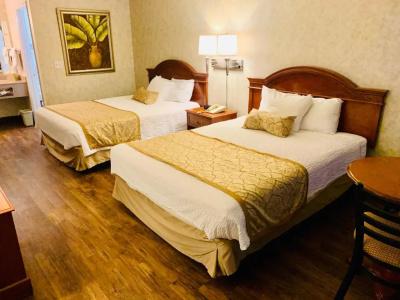 St. George Inn and Suites - 54