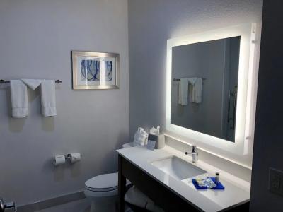 Holiday Inn Express & Suites - Houston Westchase - Westheimer, an IHG - 70