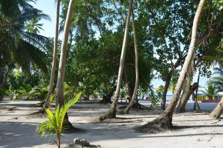 Dive Villa Thoddoo - 14