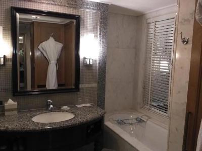 Itc Rajputana, a Luxury Collection, Jaipur - 48