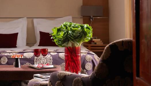 Divani Apollon Suites - 45
