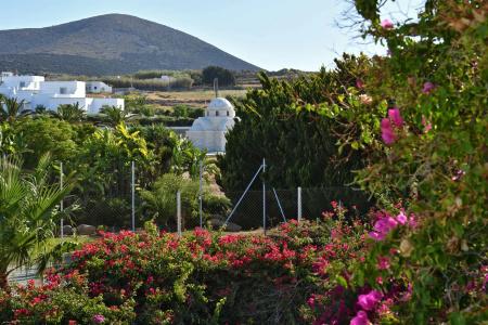 Astir Of Paros - 77