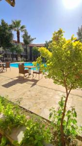 Artemis Yörük Otel - 27