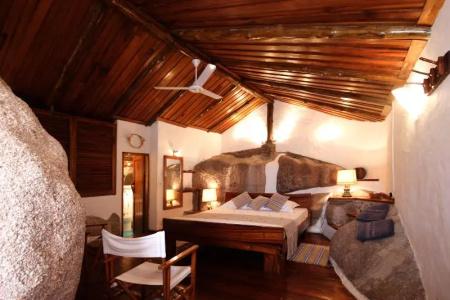 Chauve Souris Relais - 17