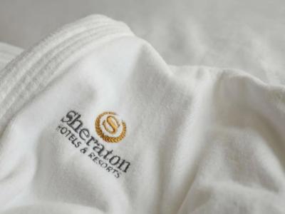 Sheraton Offenbach - 47