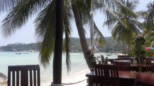 Woodlawn Villas Resort Sha Plus - 44