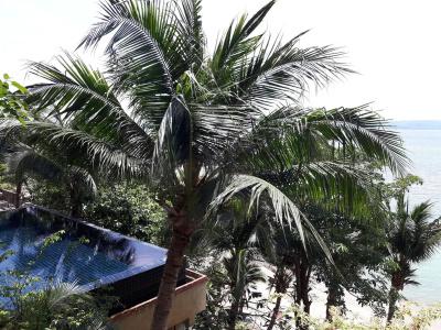 Blue Hill Beach Resort by Le Palais - 12