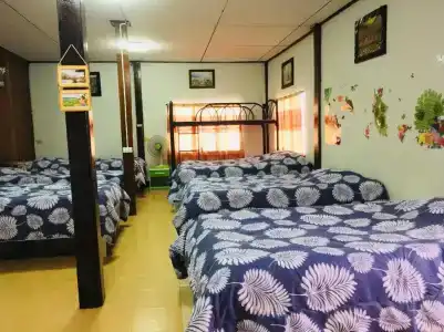 Chiang Dao - 17