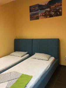 Hostel Olympic Station - 0