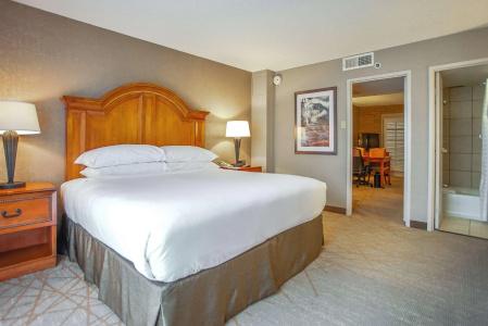 Embassy Suites San Antonio Northwest I-10 - 4