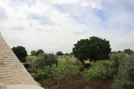 B&B Masseria Peppeturro - 70