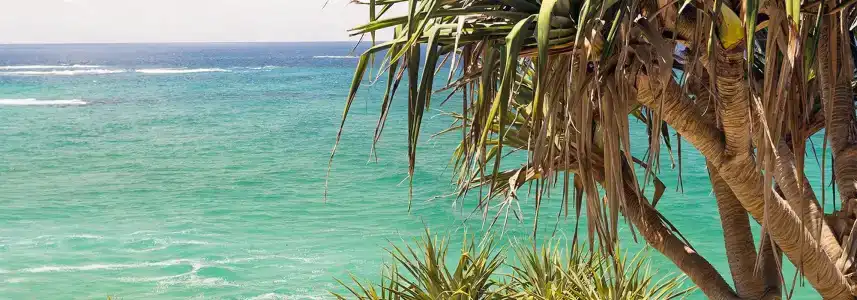Noosa Place - 19