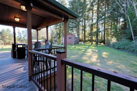 Park and Cabins - 149
