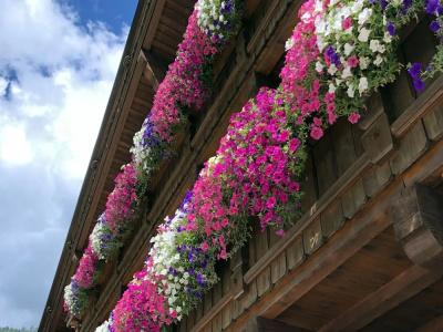 AlpenTirolerhof - 44