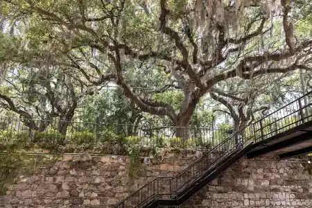 Olde Harbour Inn, Historic Inns of Savannah Collection - 97