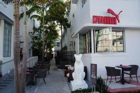 Posh South Beach - 16