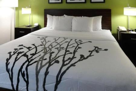 Sleep Inn - 29