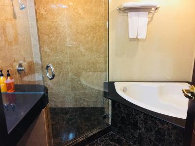 Indra Regent - 7