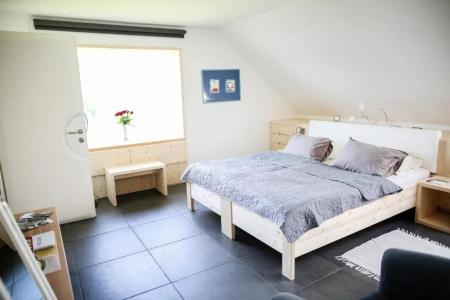 Eco Boutique Ams Beagle - 65