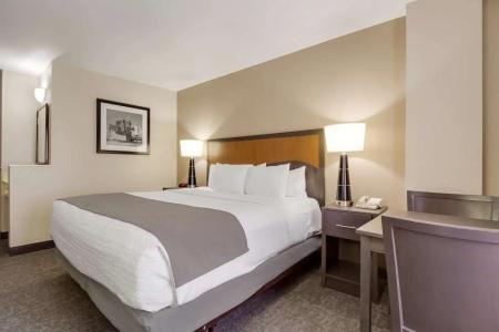 SureStay Plus by Best Western Houston Medical Center - 4