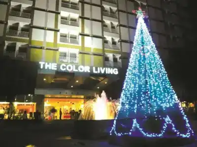 The Color Living - 44