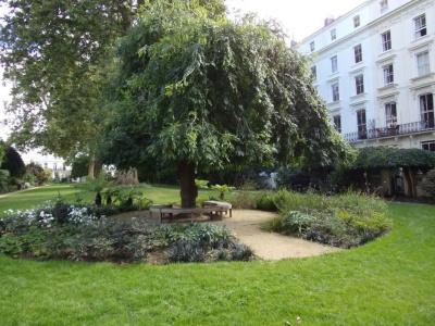 Wedgewood - 20