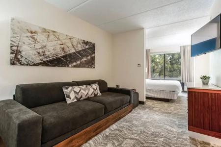 SpringHill Suites by Marriott Austin Northwest/The Domain Area - 67