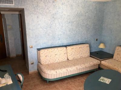 Kaktus Albir - 97