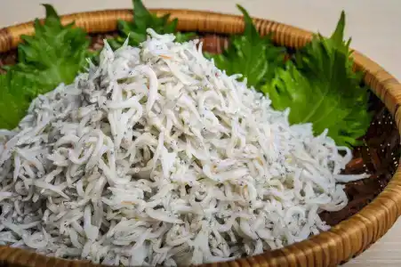 Sotetsu Fresa Inn Fujisawaeki Minamiguchi - 30