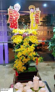 Minh Phong Ha Long - 9