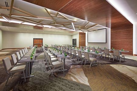 The Statler Dallas, Curio Collection By Hilton - 17