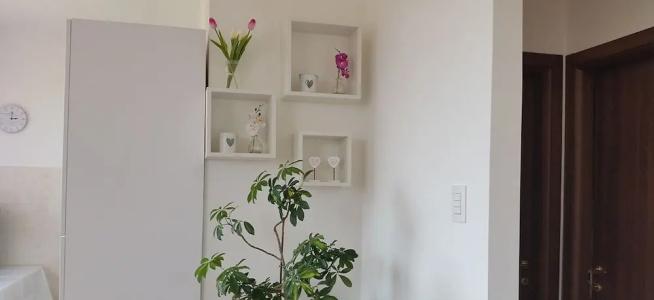 b&b Le Rose - 9