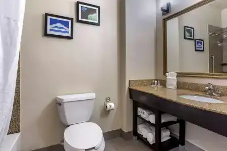 Comfort Suites West I-20 - 8