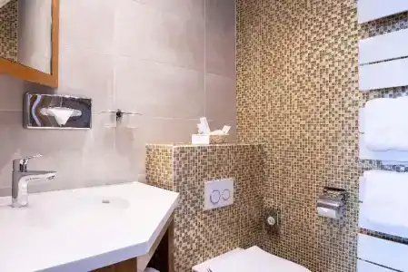 Best Western Premier Montfleuri - 85