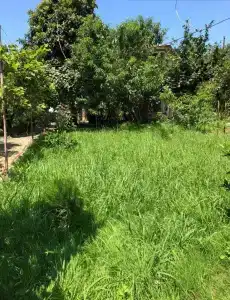 Villa la familia - 19