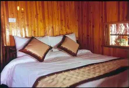 Monkey Island Resort - 2
