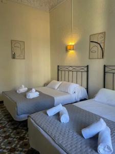 Balmes Centro - 65