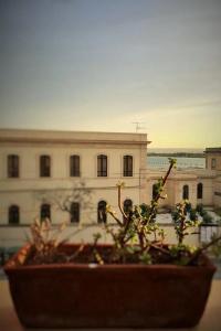 Mediterraneo - 0