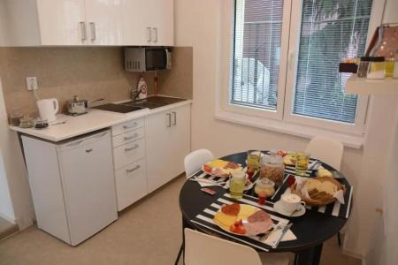 Wellness Vila Bohemia - 103