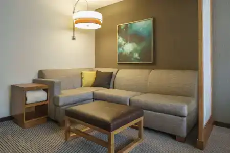 Hyatt Place Houston Galleria - 13