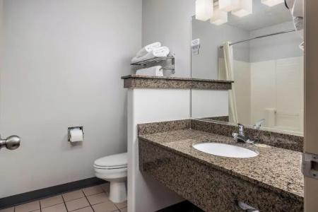 St. George Inn and Suites - 53