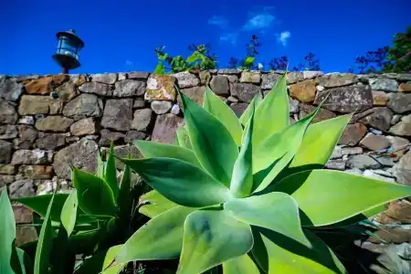 El Levante - 13