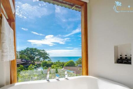 Camellia Resort & Spa - 61
