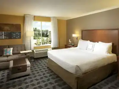 TownePlace Suites Houston Intercontinental Airport - 19