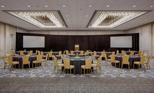 DoubleTree by Hilton Houston Greenway Plaza - 40