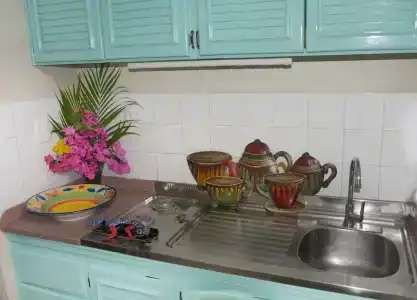 El Pelicano Apart-Hotel - 21