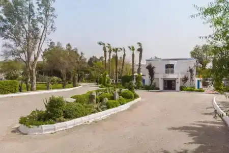 Club Muskebi - 20